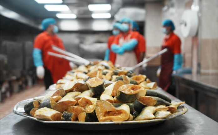 Ikan Patin