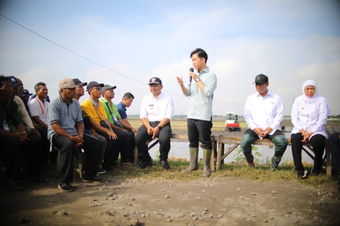 Wakil Presiden Gibran Rakabuming Raka , Menteri Pertanian Amran Sulaiman dan Gubernur Jawa Timur Khofifah Indar Parawansa saat melakukan kegiatan tanam padi di lahan Kelompok Tani Nglencong Sari, Desa Gempel, Kecamatan Geneng, Kabupaten Ngawi, Jawa Timur, Sabtu (24/5). [astakom]