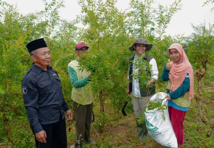 Menteri Kehutanan (Menhut) Raja Juli Antoni melakukan kunjungan kerja ke Kelompok Tani Hutan (KTH) Wono Lestari II, yang berlokasi di Desa Wonoharjo, Kecamatan Kemusu, Kabupaten Boyolali, Jawa Tengah, Senin (26/5). [astakom / Kehutanan]