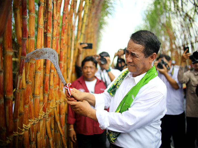 Mentan Amran pada acara panen dan tanam tebu di Kebun Lumajang 3 AFD, Desa Banter Barat, Kabupaten Lumajang, Jawa Timur, Selasa (10/6). [astakom/kementan]