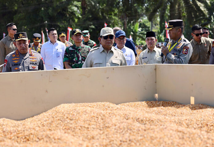 Presiden Prabowo melakukan Panen Raya Jagung Serentak di Kabupaten Bengkayang, Kalimantan Barat, Kamis (5/6). [Tim Media Presiden]
