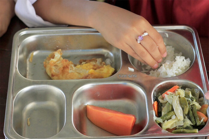 Food tray MBG