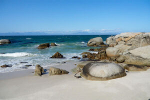Bulders Beach Afrika Selatan4