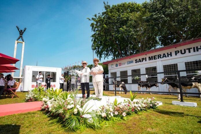 Peluncuran Sapi Merah Putih