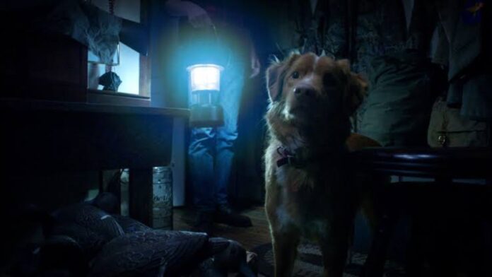 Good Boy Film