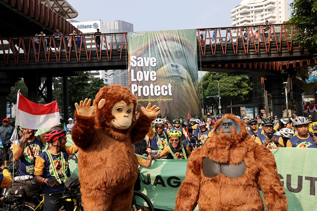 Hari Orangutan Sedunia 2025, di Jakarta, Minggu (24/8).