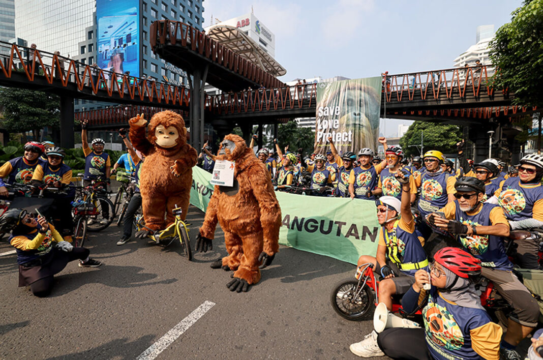 Hari Orangutan Sedunia 2025, di Jakarta, Minggu (24/8).