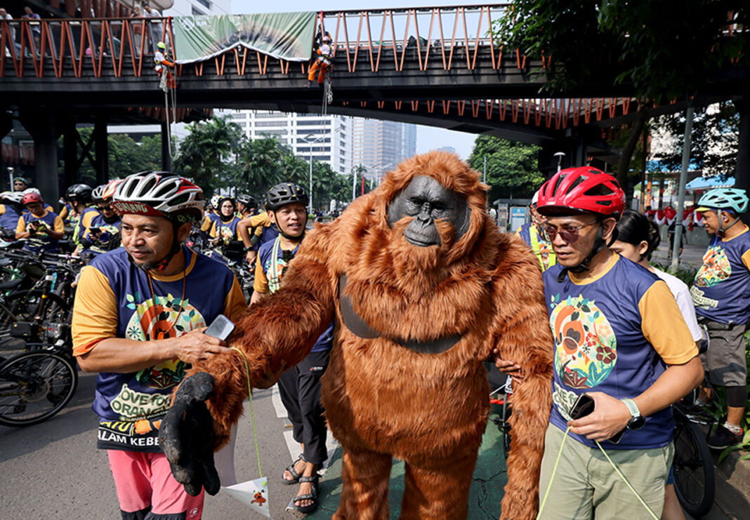 Hari Orangutan Sedunia 2025, di Jakarta, Minggu (24/8).