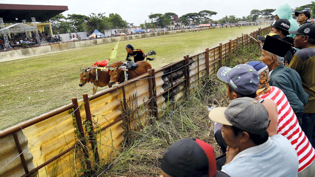 Sejumlah peserta memacu sapi untuk mencapai garis akhir pada perlombaan Karapan Sapi, di Stadion Karapan Sapi R.P Moh Noer, Kabupaten Bangkalan, Madura, Jawa Timur, Minggu (21/9).