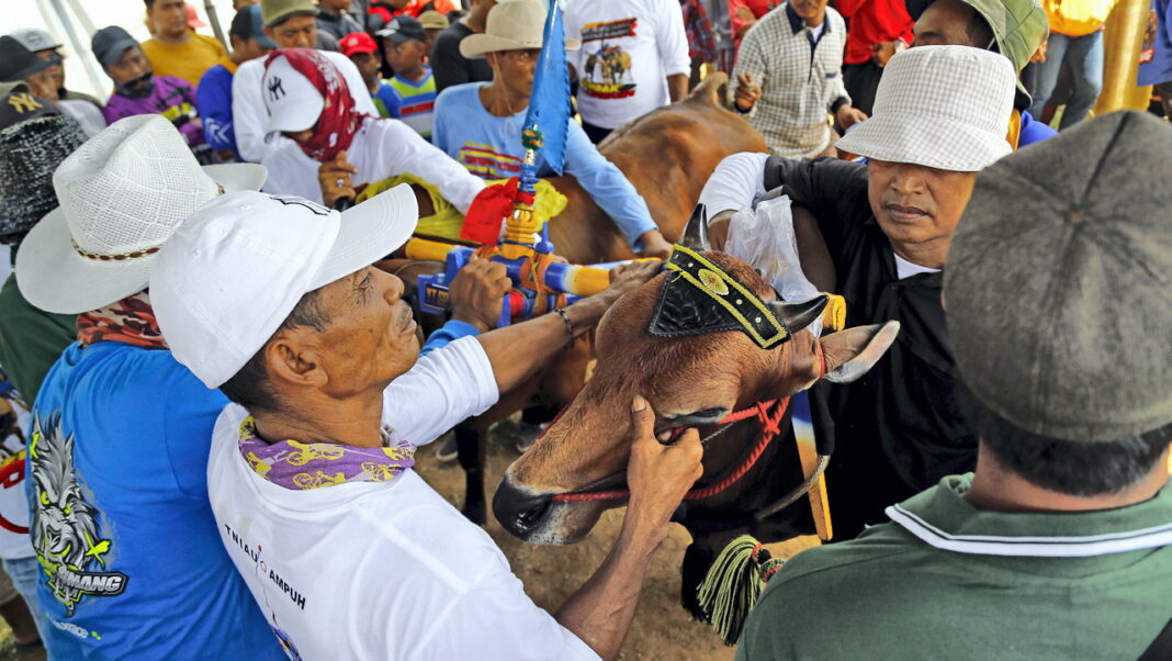 Sejumlah peserta memacu sapi untuk mencapai garis akhir pada perlombaan Karapan Sapi, di Stadion Karapan Sapi R.P Moh Noer, Kabupaten Bangkalan, Madura, Jawa Timur, Minggu (21/9).