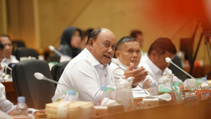 Dadan Hindayana