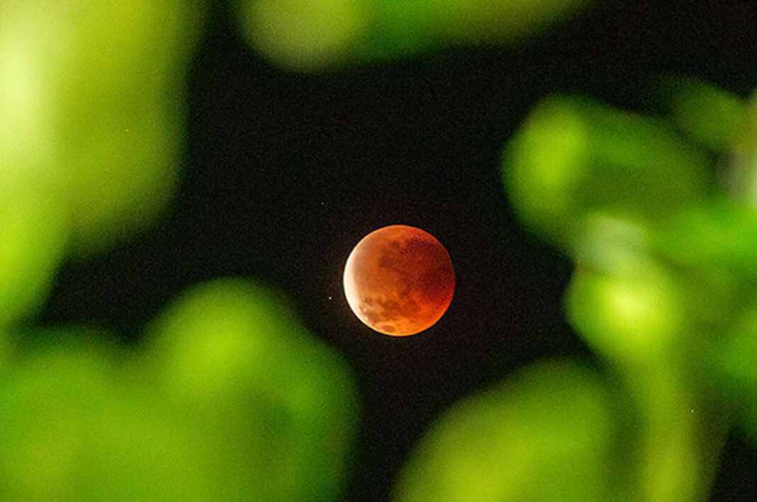 [astakom/str-Panji Arkananta]