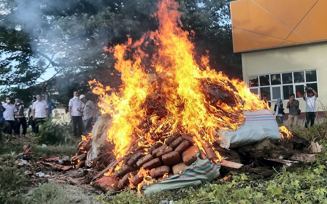 Kepolisian Daerah (Polda) Aceh memusnahkan narkotika jenis ganja seberat 1,3 ton dan sabu seberat 80,5 kilogram, di Polda Aceh, Banda Aceh, Senin (6/10).