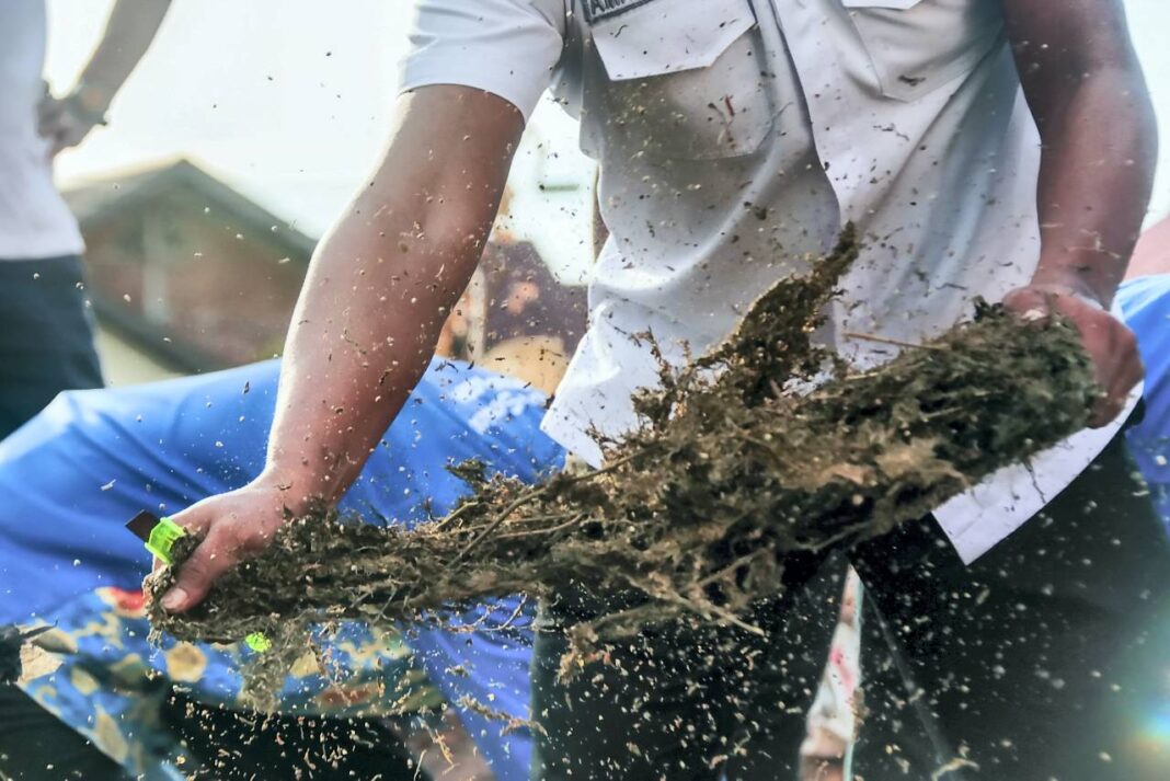Kepolisian Daerah (Polda) Aceh memusnahkan narkotika jenis ganja seberat 1,3 ton dan sabu seberat 80,5 kilogram, di Polda Aceh, Banda Aceh, Senin (6/10).