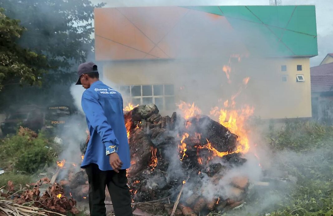 Kepolisian Daerah (Polda) Aceh memusnahkan narkotika jenis ganja seberat 1,3 ton dan sabu seberat 80,5 kilogram, di Polda Aceh, Banda Aceh, Senin (6/10).