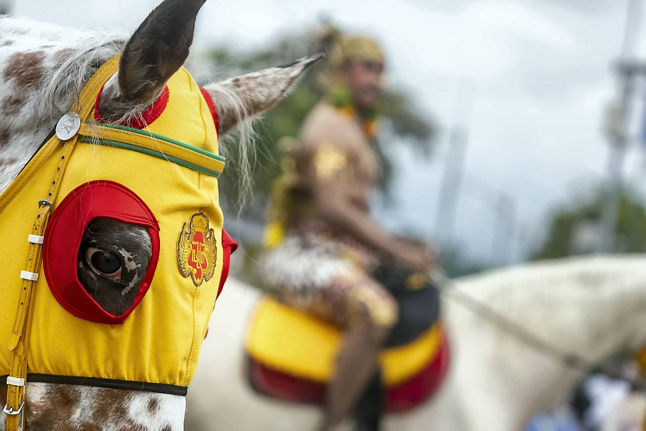 Kirab Peringatan Tingalan Dalem Taun 2025 Peringatan Tingalan Dalem Taun (ulang tahun dalam tahun Jawa), raja Keraton Sri Sultan Hamengku Bawono X, di Yogyakarta, Rabu (22/10).
