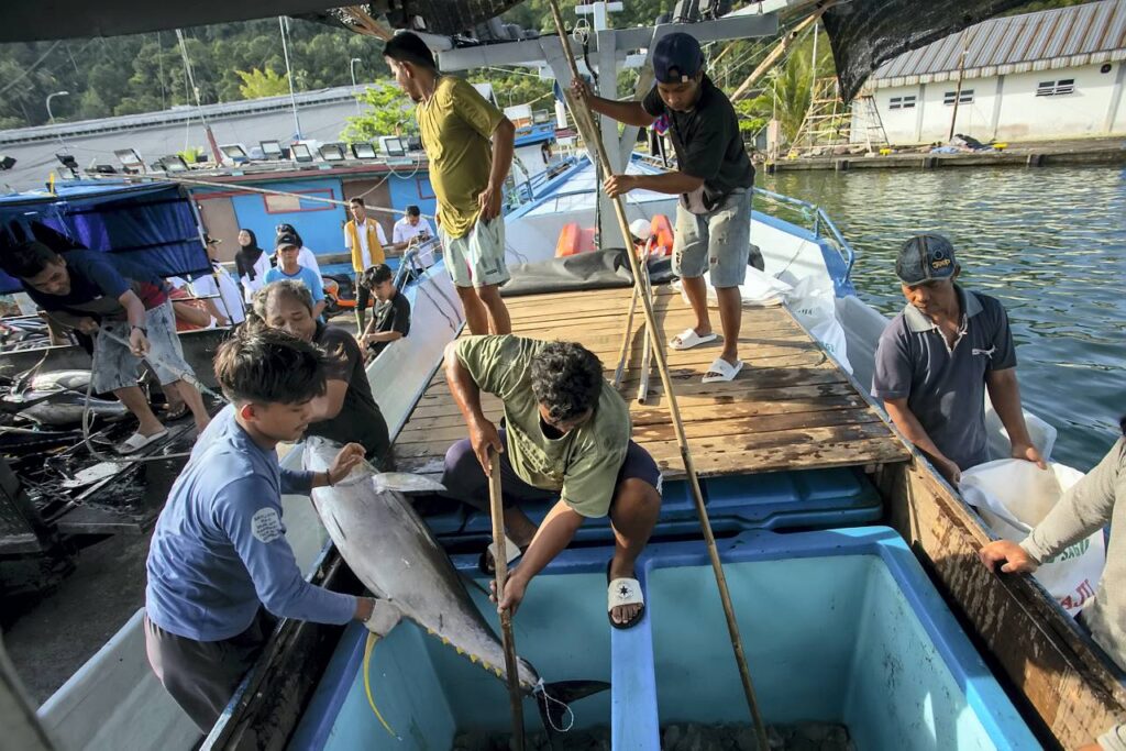 Nelayan menurunkan hasil tangkapan ikan tuna sirip kuning dari atas kapal, di Pelabuhan Kelas II Teluk Bayur, Kota Padang, Sumatera Barat, Selasa (4/11).