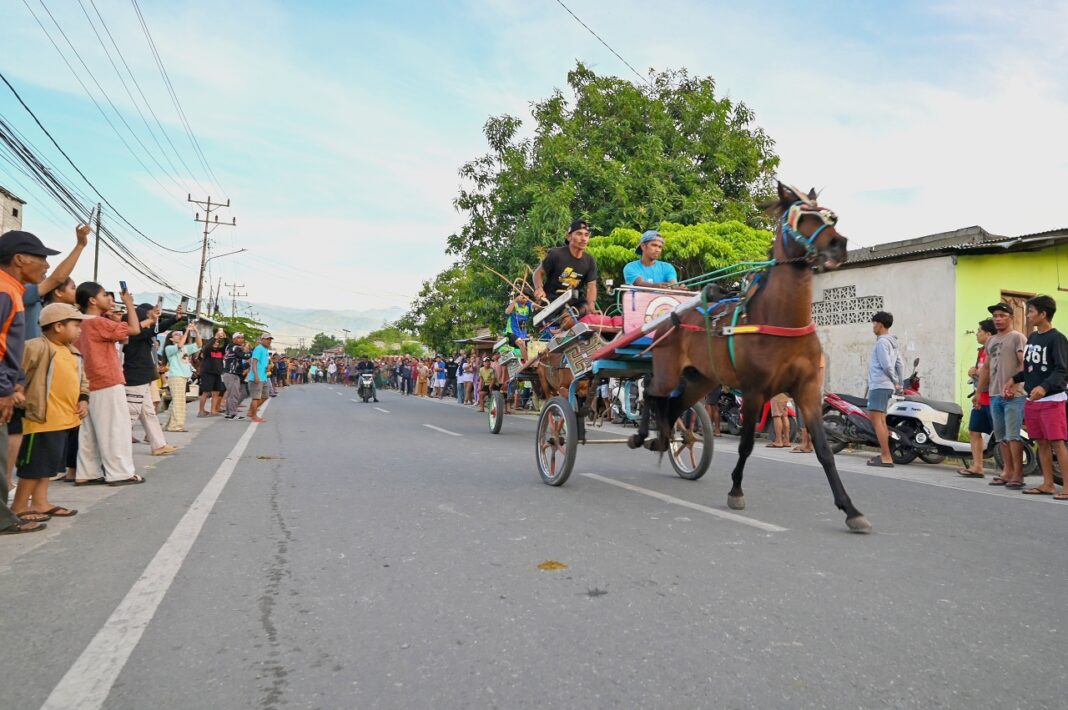Peserta memacu dokar pada balap dokar di Duyu Palu.