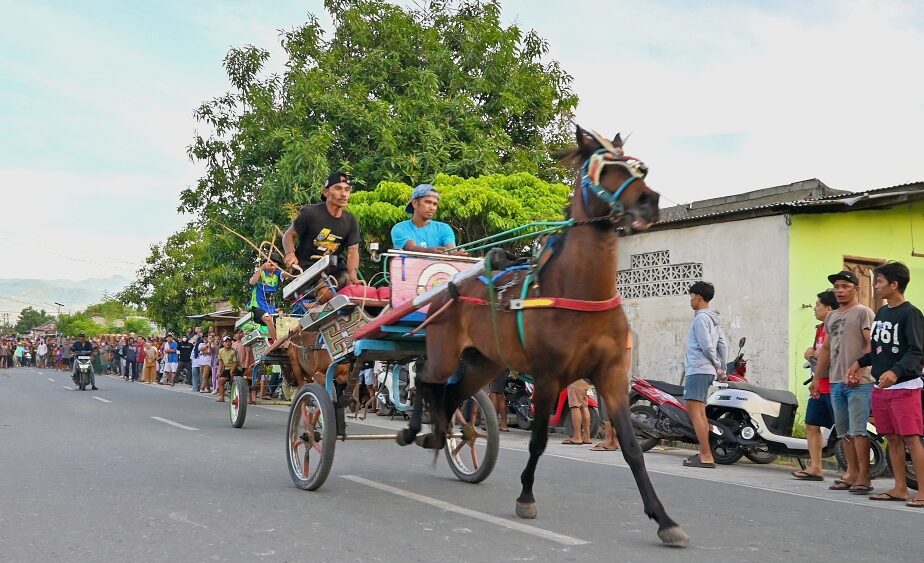 Peserta memacu dokar pada balap dokar di Duyu Palu.