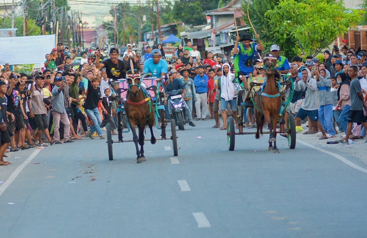 Peserta memacu dokar pada balap dokar di Duyu Palu.