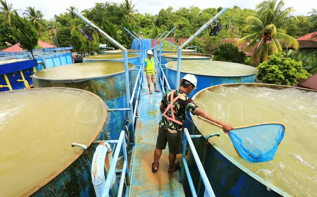 Pekerja membersihkan tangki IPA II Sungai Latung Padang