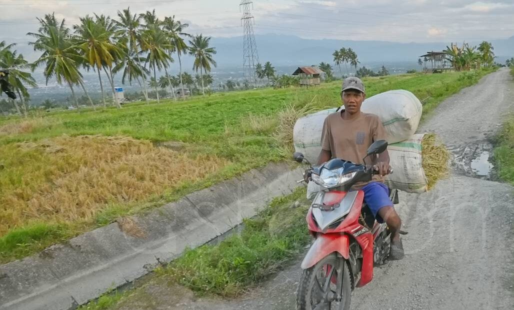 Petani memanen padi Desa Porame Sigi target produksi Sulawesi Tengah.