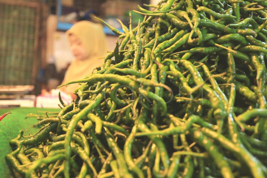 Pasokan Komoditas di Padang Kembali Lancar Pedagang Pasar Raya Padang merapikan pasokan komoditas sembako